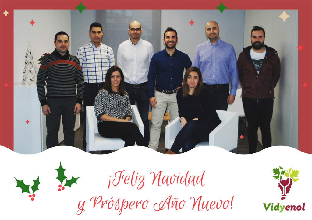Feliz Navidad Vidyenol