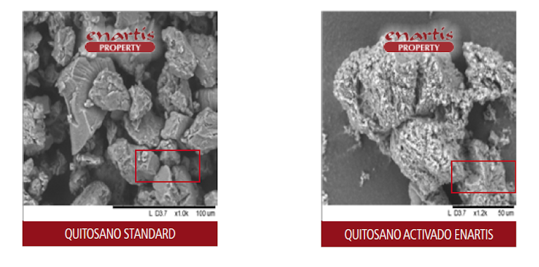 Enartis Quitosano